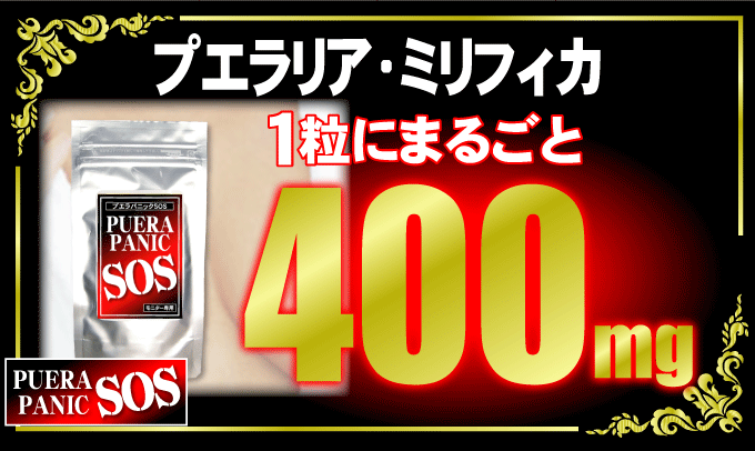 �v�G���p�j�b�N�r�n�r �摜6