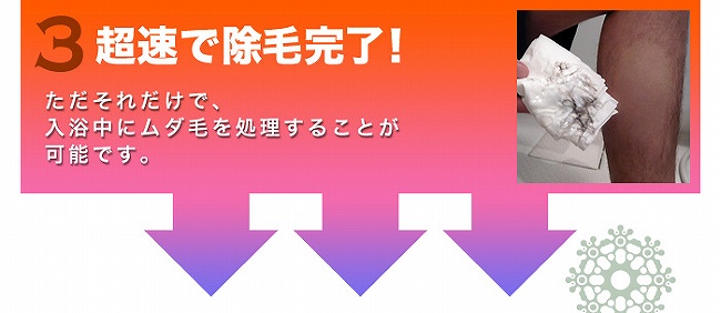 ���f�B�A�G�X�e���C���o�X�����[�o�[ �摜12
