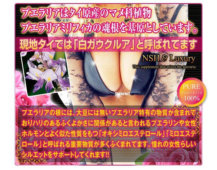 �}�W�F�X�e�B�b�N�v�G�����A �摜4