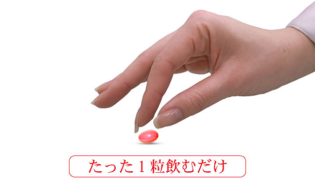 �t�B�[�����[�Y �摜2