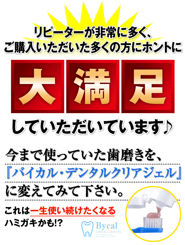 �o�C�J���@�f���^���N���A�W�F�� �摜12