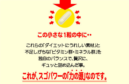 �J���u���b�N�@�X�S�p���[ �摜25