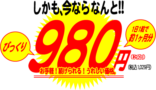 �J���u���b�N�@�X�S�p���[ �摜5