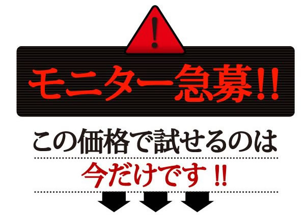 �x�W�^�r�I�e�b�N �摜2
