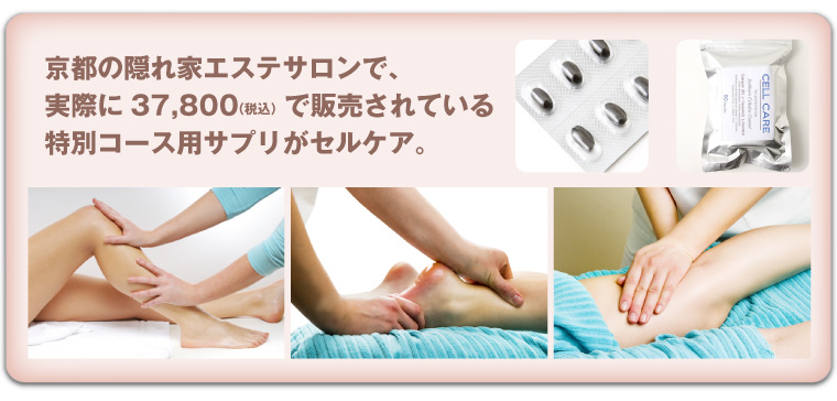 �Z���P�A �摜5
