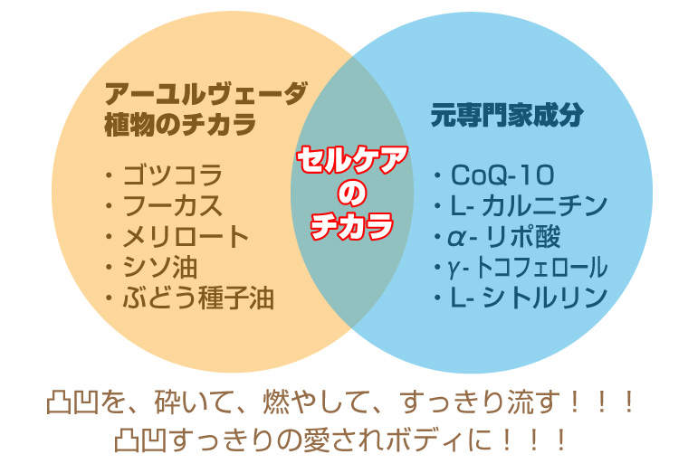 �Z���P�A �摜9