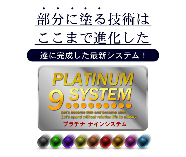 �i�C���\�[�h�@�X�L�j�[���C���W�F�� �摜3