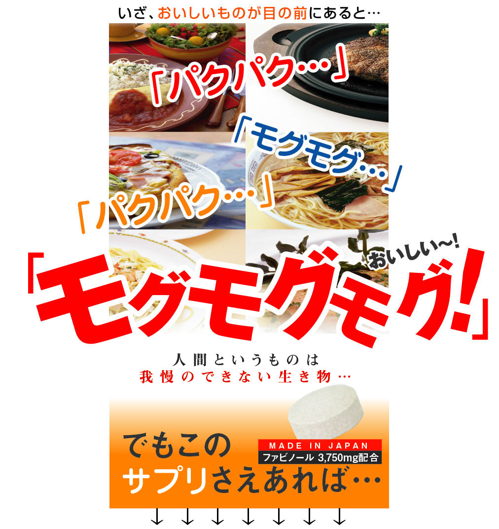 �J�����|�C�@�S�[���h �摜4