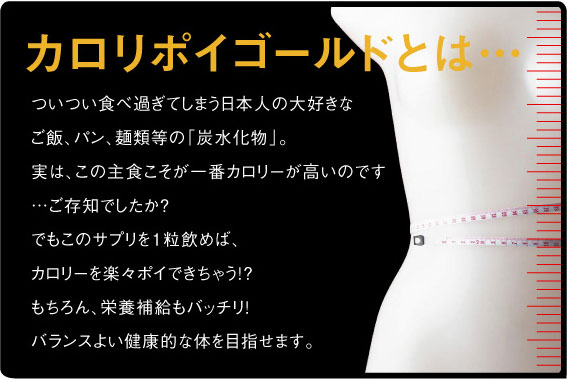 �J�����|�C�@�S�[���h �摜6
