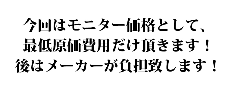 �X�����h�b�N �摜1