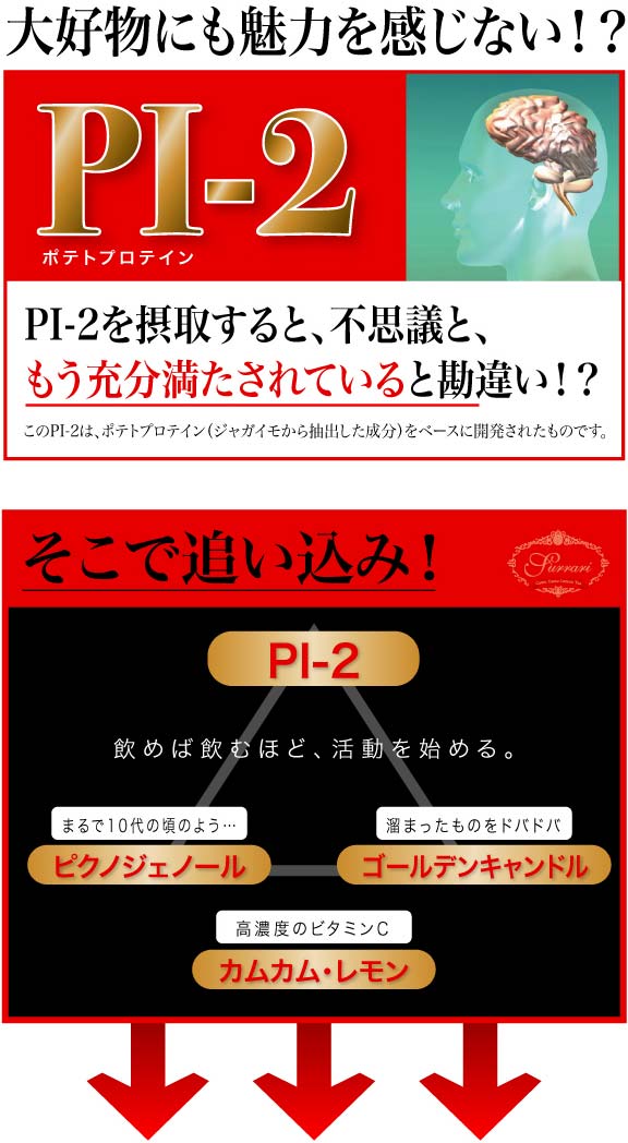 �X���[���@�J���J���������e�B�[ �摜11