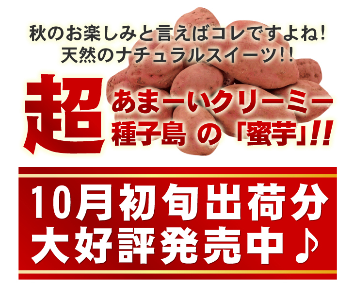 �w��q�������x�@3Kg �摜1