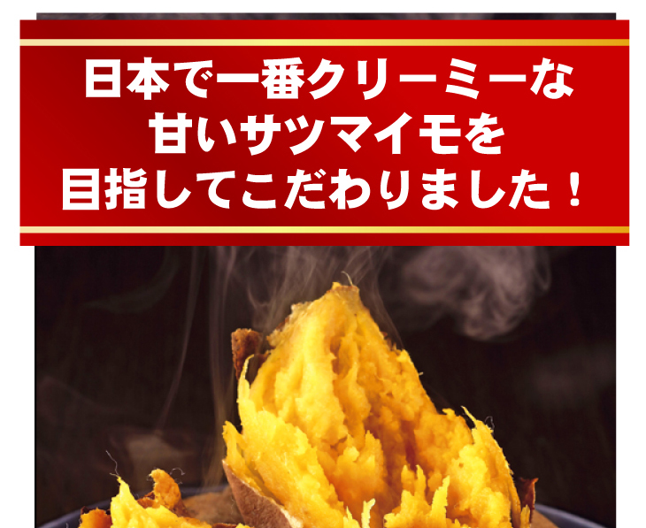 �w��q�������x�@3Kg �摜10