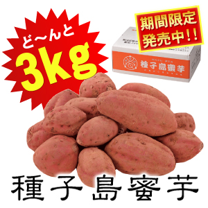 �w��q�������x�@3Kg