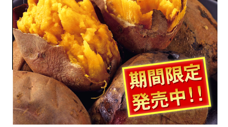�w��q�������x�@3Kg �摜11
