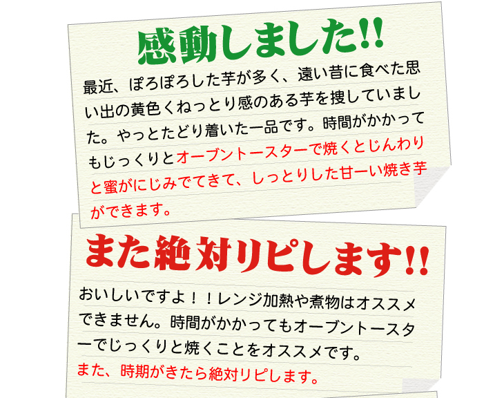�w��q�������x�@3Kg �摜13