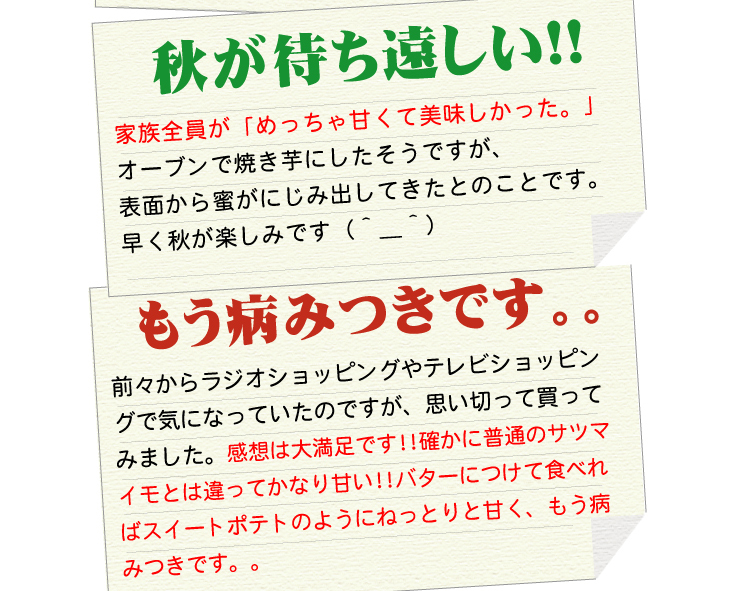 �w��q�������x�@3Kg �摜14