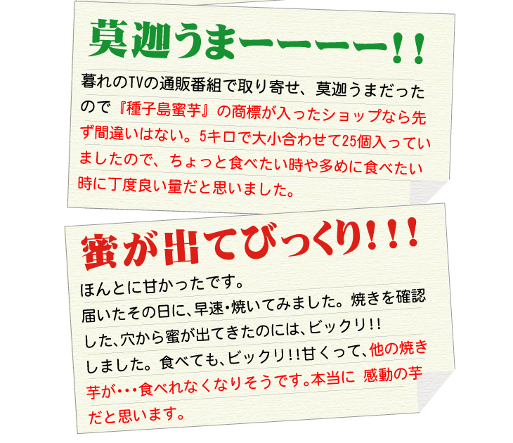 �w��q�������x�@3Kg �摜15
