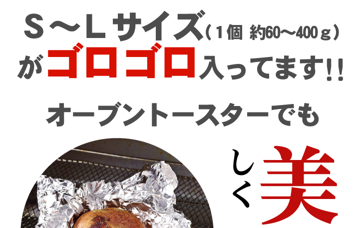 �w��q�������x�@3Kg �摜16