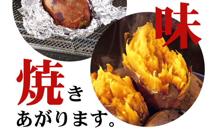 �w��q�������x�@3Kg �摜17