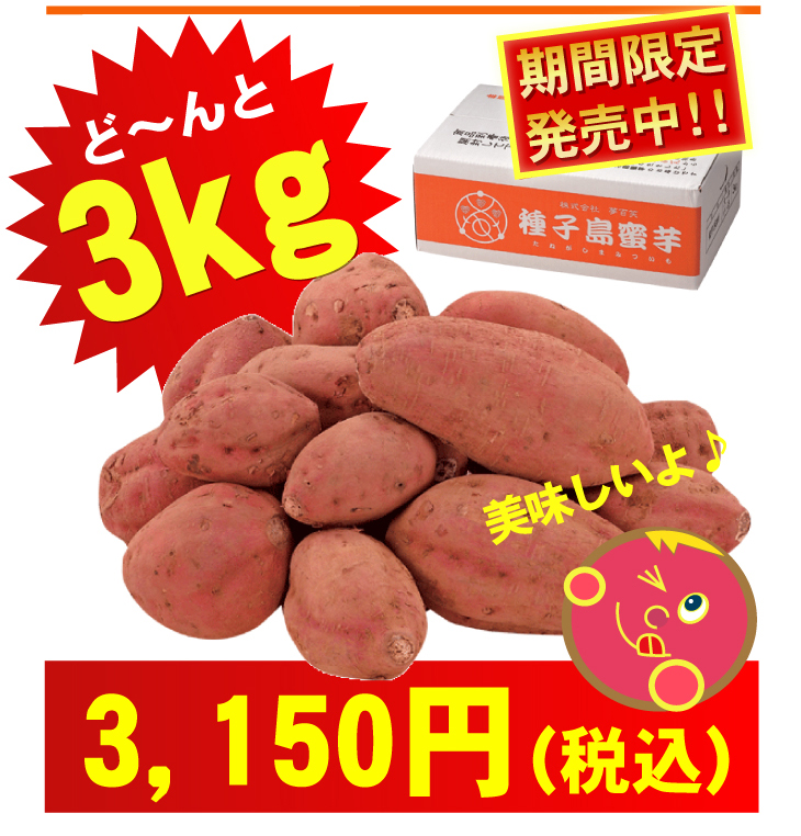 �w��q�������x�@3Kg �摜18