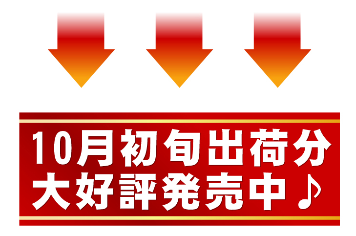 �w��q�������x�@3Kg �摜19