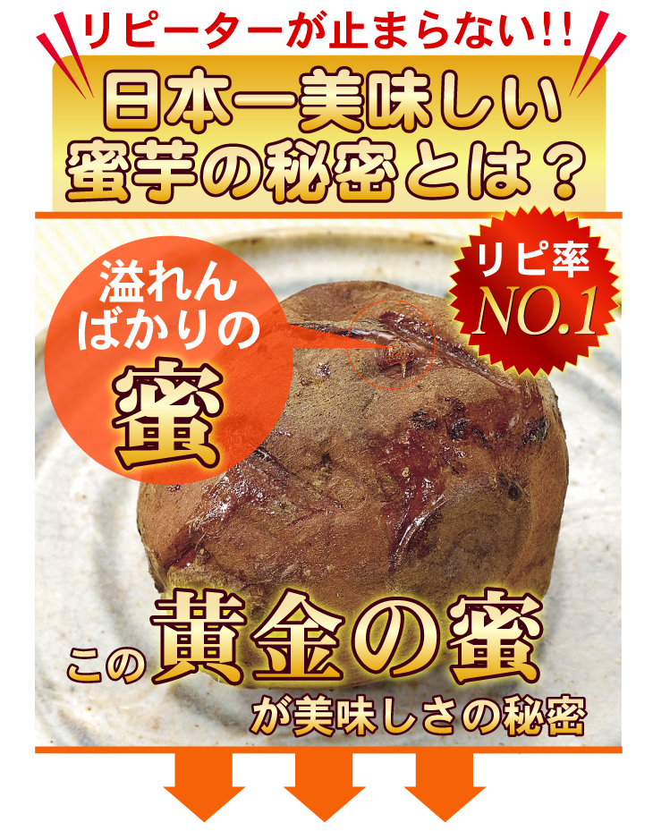 �w��q�������x�@3Kg �摜3