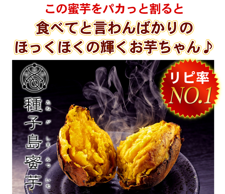 �w��q�������x�@3Kg �摜4