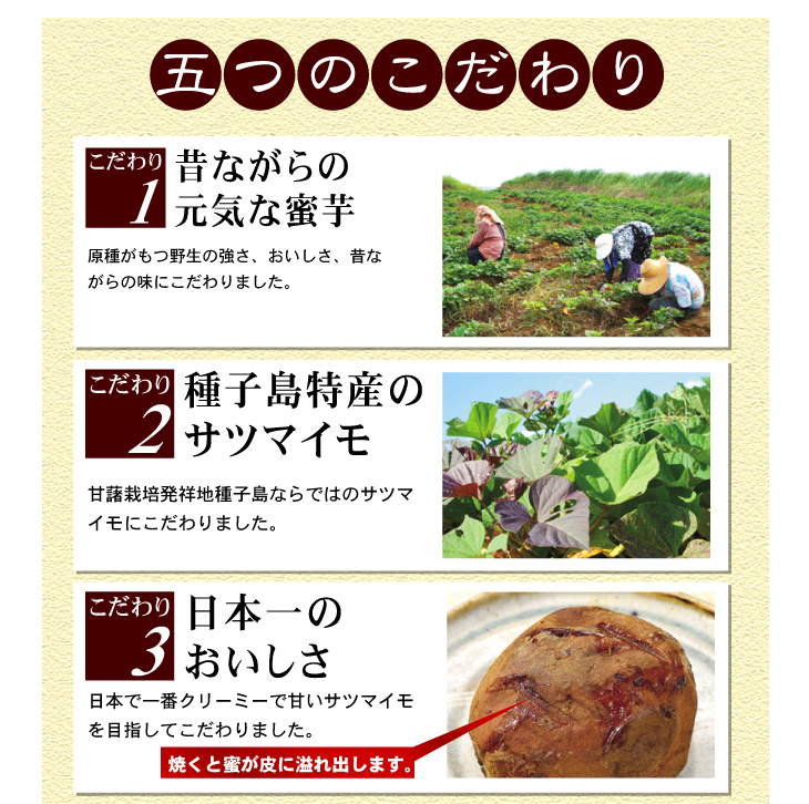 �w��q�������x�@3Kg �摜6
