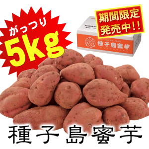 �w��q�������x�@5Kg