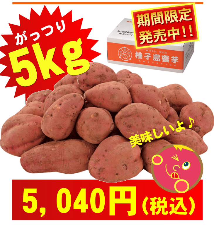 �w��q�������x�@5Kg �摜18