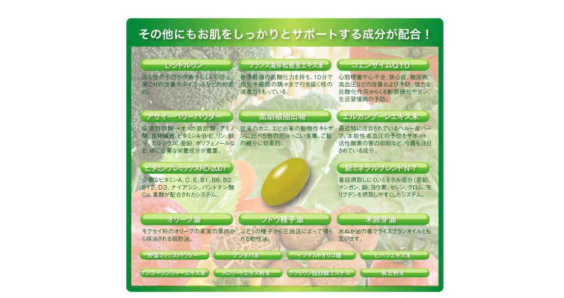 �ɐ�-�y�f �G���U�C���V�X�e�� �摜10