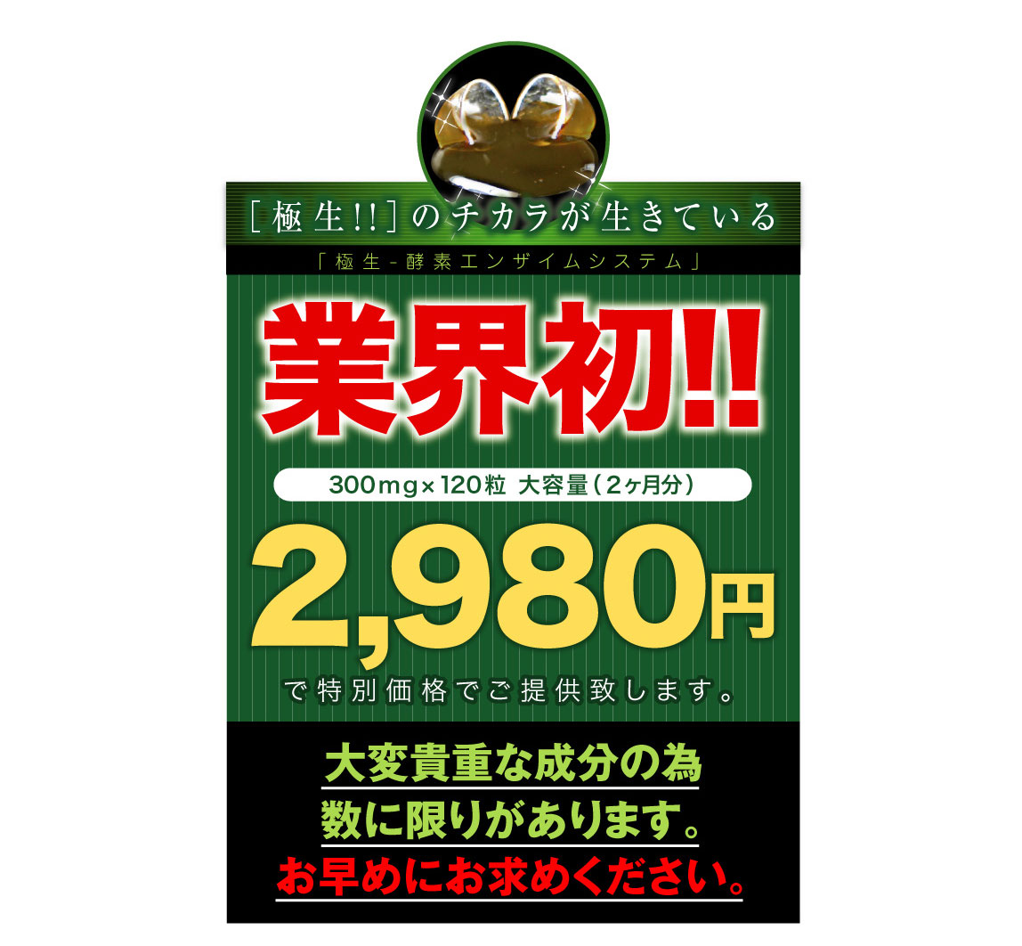 �ɐ�-�y�f �G���U�C���V�X�e�� �摜12