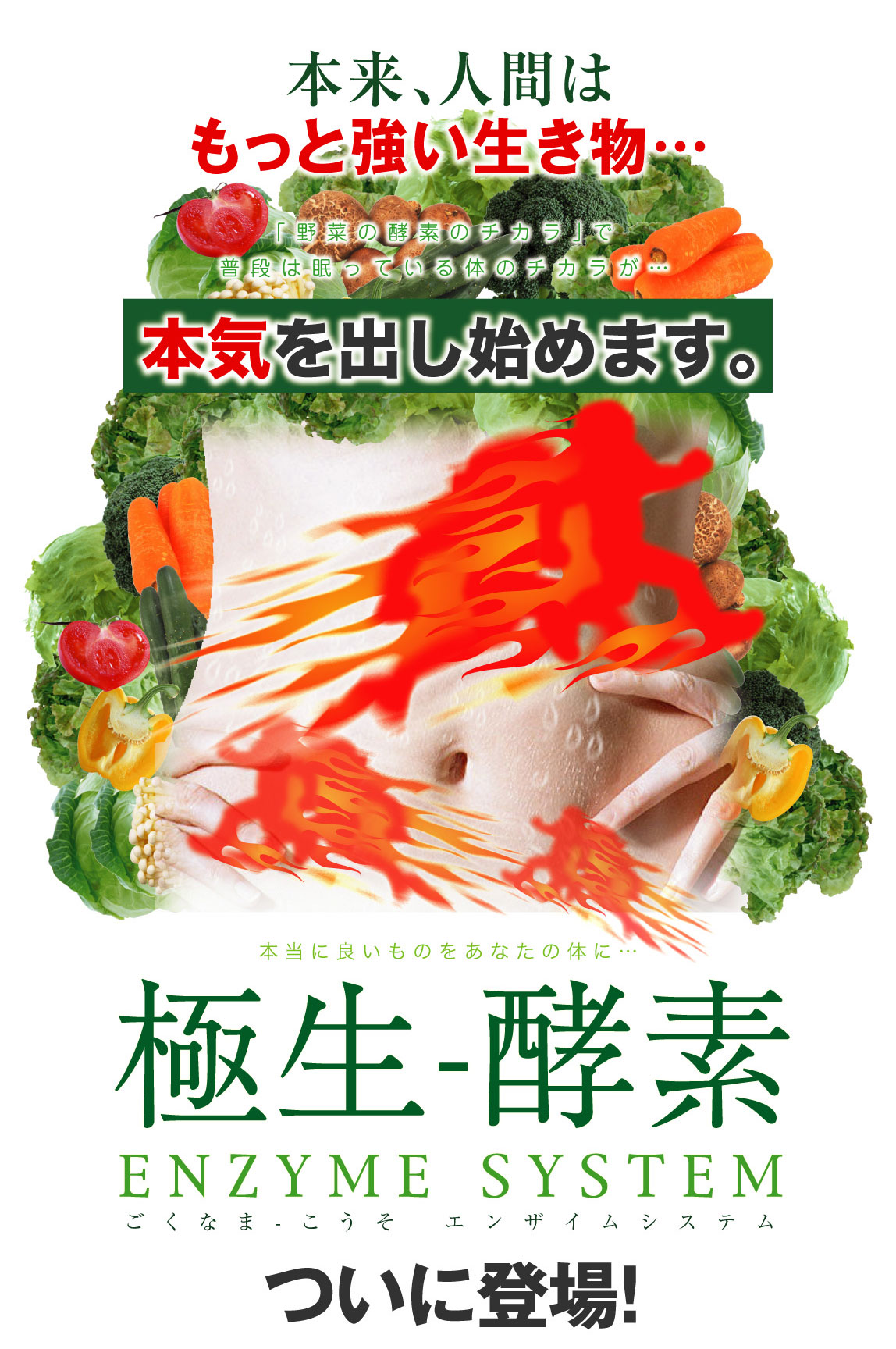 �ɐ�-�y�f �G���U�C���V�X�e�� �摜2