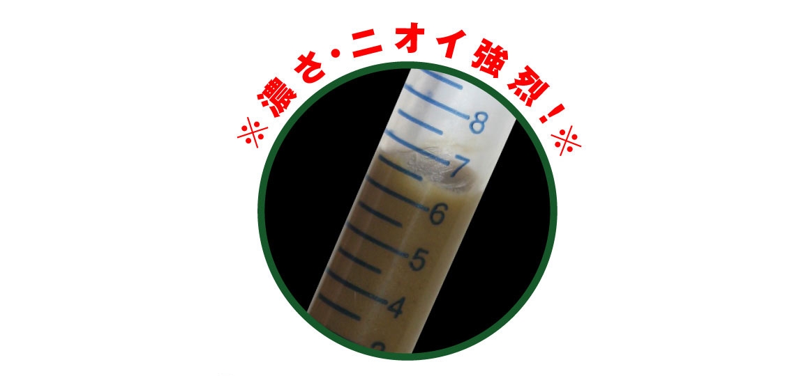 �ɐ�-�y�f �G���U�C���V�X�e�� �摜4