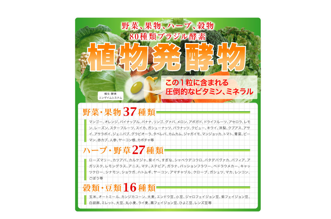 �ɐ�-�y�f �G���U�C���V�X�e�� �摜5