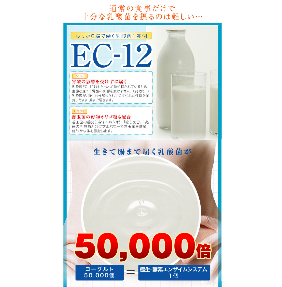 �ɐ�-�y�f �G���U�C���V�X�e�� �摜8