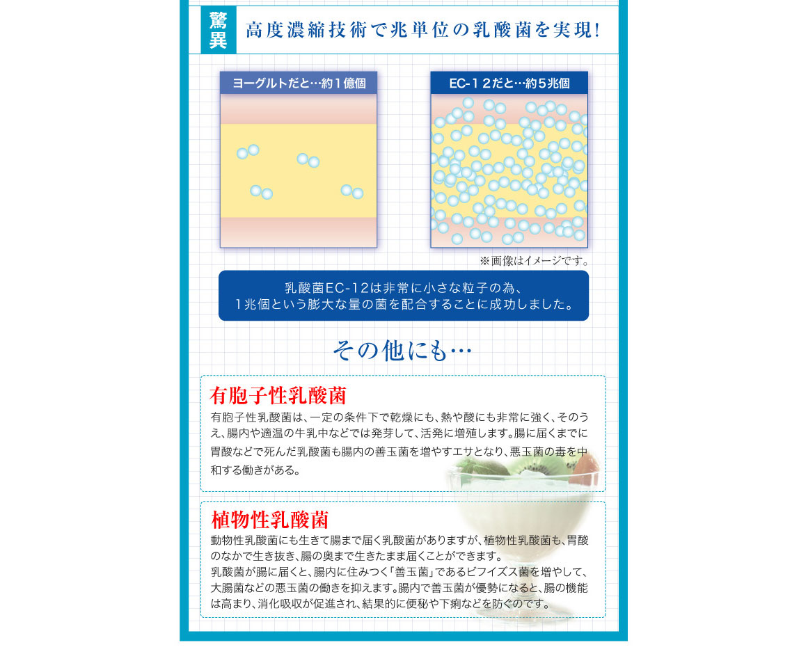 �ɐ�-�y�f �G���U�C���V�X�e�� �摜9