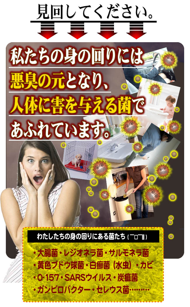 �E�C���X�{�� �摜6