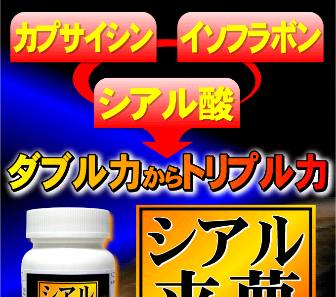 �V�A������ �摜1