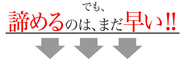 ���F���N100�C�|���� �摜10