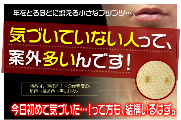 ���F���N100�C�|���� �摜8