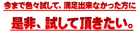 ���F���N�P�O�O�@�A�C�o�b�N���t�g�v���~�A�� �摜11