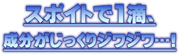 ���F���N�P�O�O�@�A�C�o�b�N���t�g�v���~�A�� �摜21