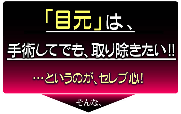 ���F���N�P�O�O�@�A�C�o�b�N���t�g�v���~�A�� �摜5