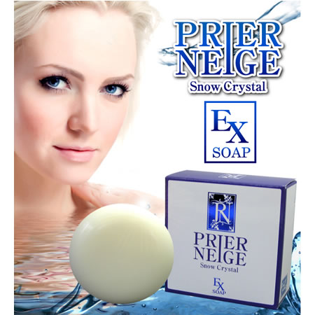 �v���G�l�[�W��EX�\�[�v