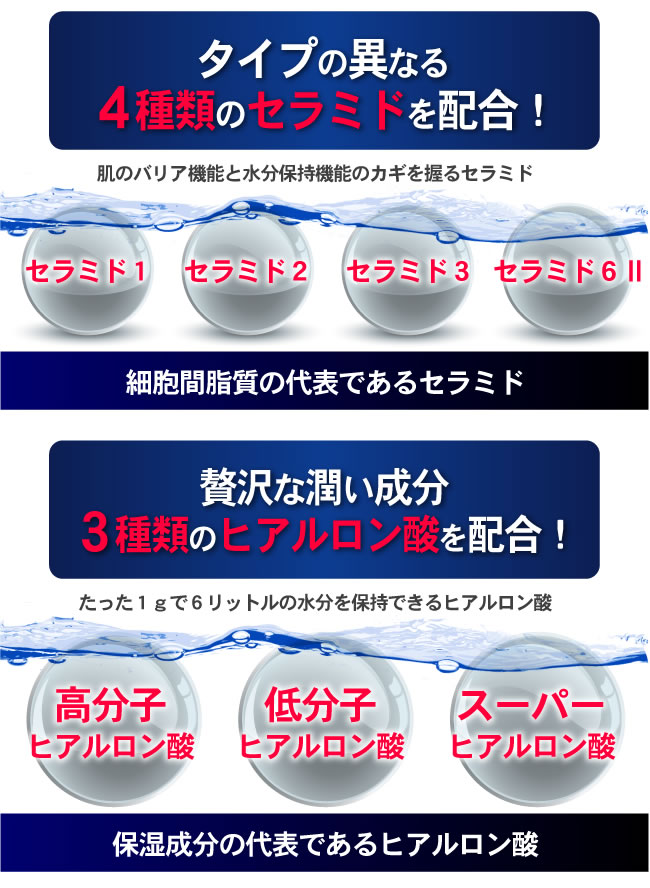 �v���G�l�[�W���@�Z�u�����C�X�`���[�Q�� �摜5