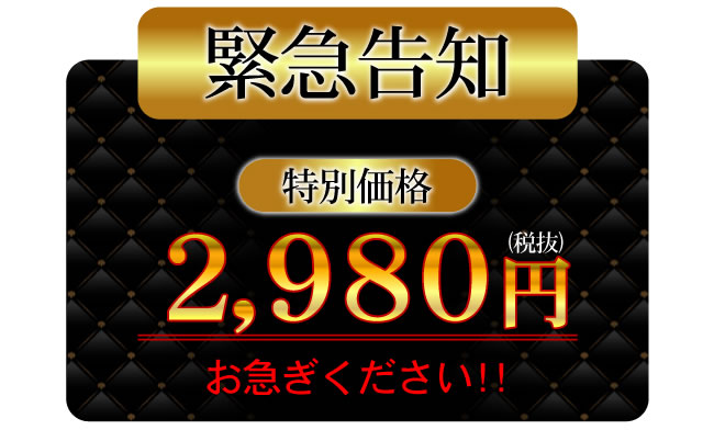 ���K���b�`�@�E���g���_�u�� �摜15