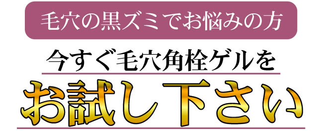 �����e�B�x���[ �摜15