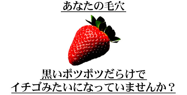 �����e�B�x���[ �摜5